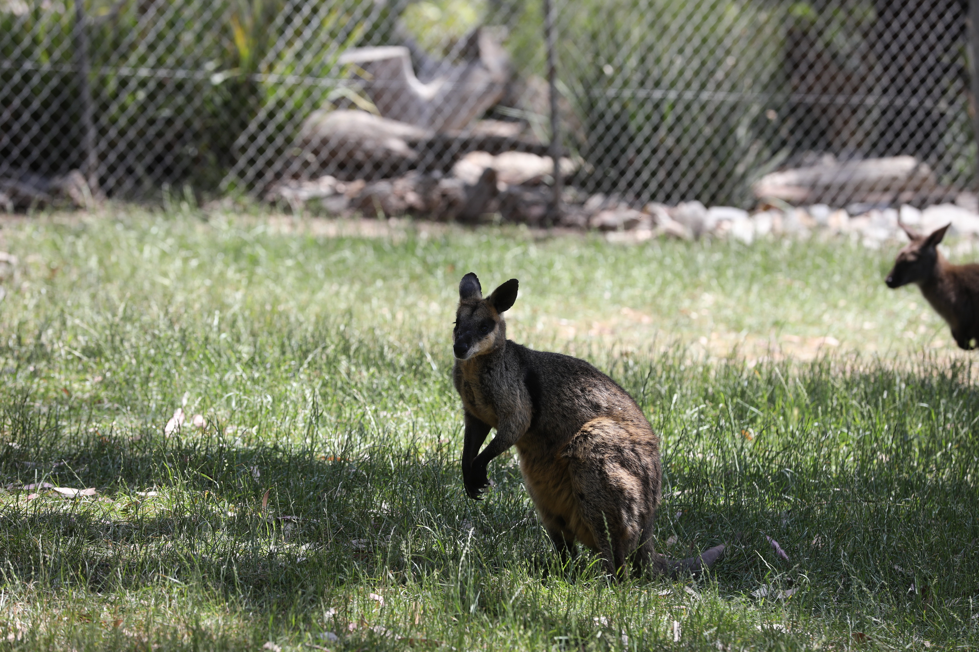 2019 11 22 14 51 36 Canon EOS 5D Mark IV 0017